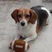 Mark Picciano - Facebook
