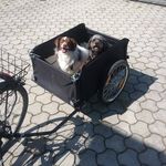 Markus Pichler - @mark19us68 - Instagram