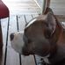 Mark Pickard - Facebook