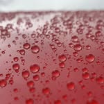 Mark Pickford - @pickfordr100 - Instagram