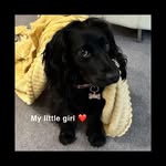 Mark Pickles - @mark_pickles - Instagram