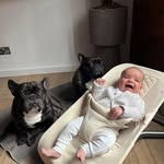 Mark Pickles - @markpickles06 - Instagram