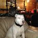 Mark Pickrell - Facebook