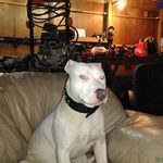 Mark Pickrell - @mark.pickrell.1 - Instagram