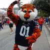 Mark Pierce - @mark.pierce45 - TikTok