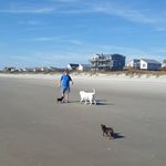 Mark Pinholster - @markpinholster - Instagram