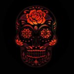 Mark Pinto - @markpinto6 - Instagram