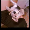 Marce💐❤️‍🩹 - @mark.pipa - TikTok