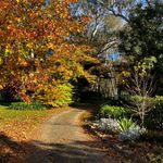 Mark Plaisted - @rokeby.garden - Instagram