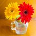 M mark plants - Facebook