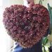 Mark Hearts Plants - Facebook