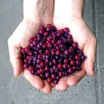 Mark's Plants - @marksplants - Instagram