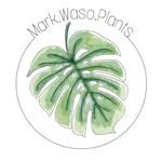 mark.waso.plants - @mark.waso.plants - Instagram