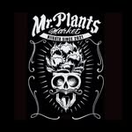 Mr. PLANTS MARKET - @mr.plants.market - Instagram