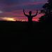 Mark Planos - Facebook