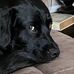 Mark Pledger - Facebook