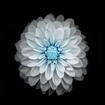 Mark ploch - @mploch6 - Instagram