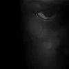 markpoe205 - @markpoe205 - TikTok