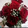 Mark poll - @user4394581863611 - TikTok