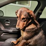 Mark Popp - @mark.popp.71 - Instagram
