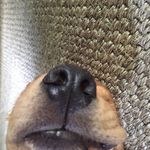 Mark Porter - @markporterrr - Instagram