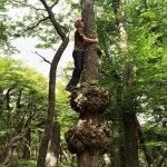 Mark Postle - @markpostle - Instagram