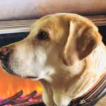 Mark Poth - @poth978 - Instagram