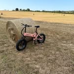 Mark Potter - @mark.potter3280 - Instagram