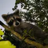 Mark Poynter - @mark.poynter - TikTok