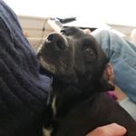 Mark Prentice - @mark.prentice.5283 - Instagram