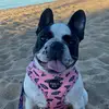 mark.preusse - @mark.preusse - TikTok