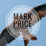 Mark Price - @markprice.wildlife - Instagram