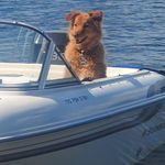Mark Prichard - @mark.prichard.543 - Instagram