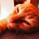 Mark Prieto Perez - @mark_new_history - Instagram