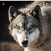 Mark Primeaux - Facebook
