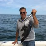 Mark Procopio - @markproco - Instagram