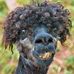 Mark Profitt - Facebook
