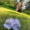 Mark Puente - @markpuente0 - TikTok
