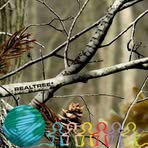Mark Puffinburger - Facebook