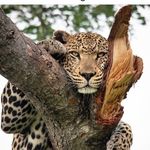 Mark pullen - @markpullen15 - Instagram