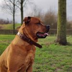 Mark Pullen - @markus.pullen - Instagram