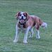 Mark Pullen - Facebook