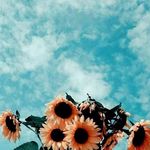 @mark.pulley42 - Instagram