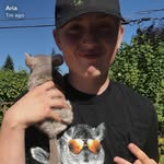 Mark Pursel - @merkpursal - Instagram