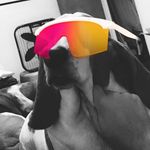 Mark - @notmarkputz - Instagram