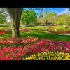 Mark Qualls - @markqualls484 - TikTok