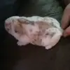 mark.qualls - @mark.qualls - TikTok
