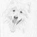 Mark Quattlebaum - Facebook