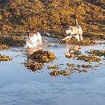 Mark quesnel - @quesnel.mark - Instagram