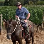 Mark Quirk - @mark.quirk.31 - Instagram